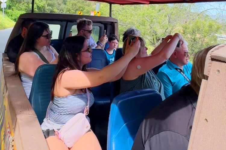 Hollywood City Tours location in Hollywood, Los Angeles